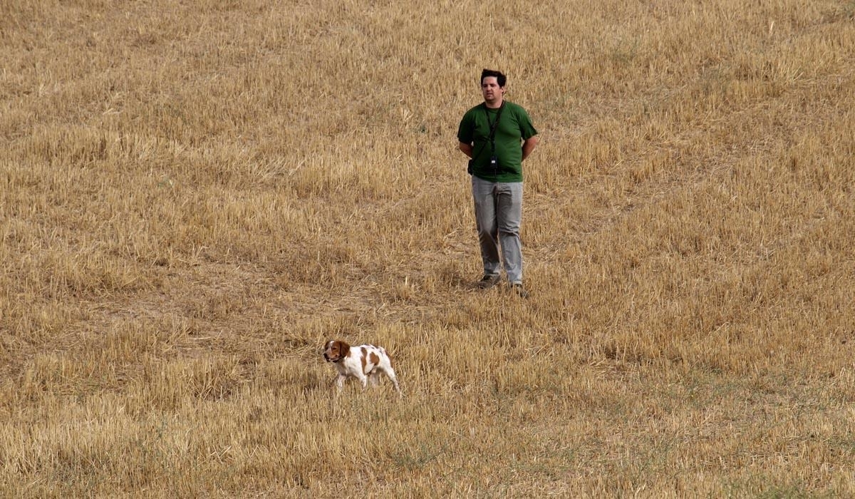 2983-curso-adiestramiento-mani