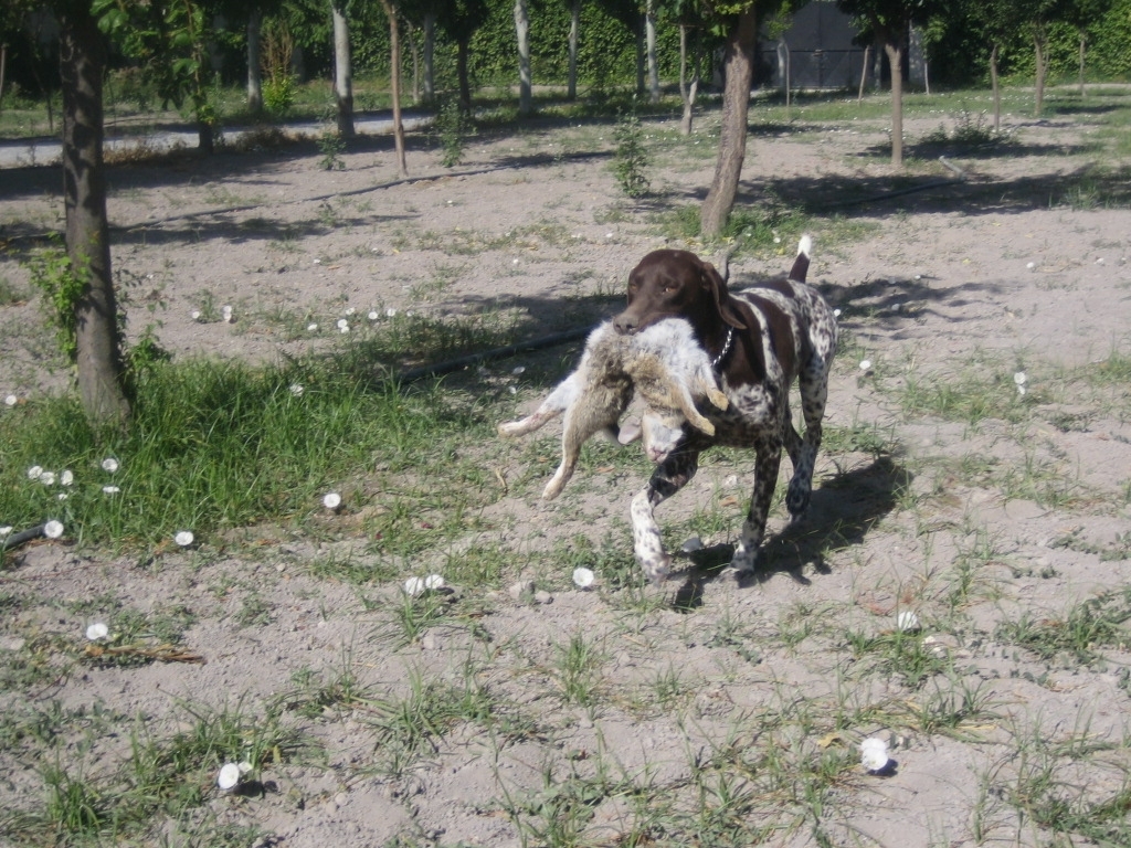 Habi-y-Fluss-con-conejo-8-7-12-018