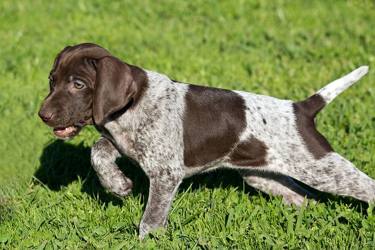 3bfd5db00a65b7c56b6f557a297a67bf