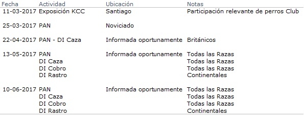calendario