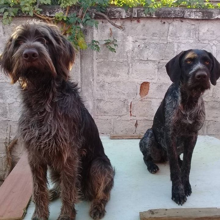 ada y abril
