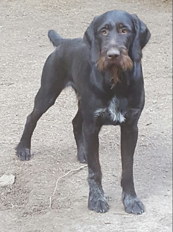 camoka