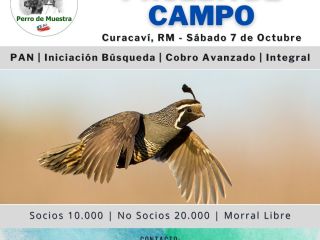 prueba - 1