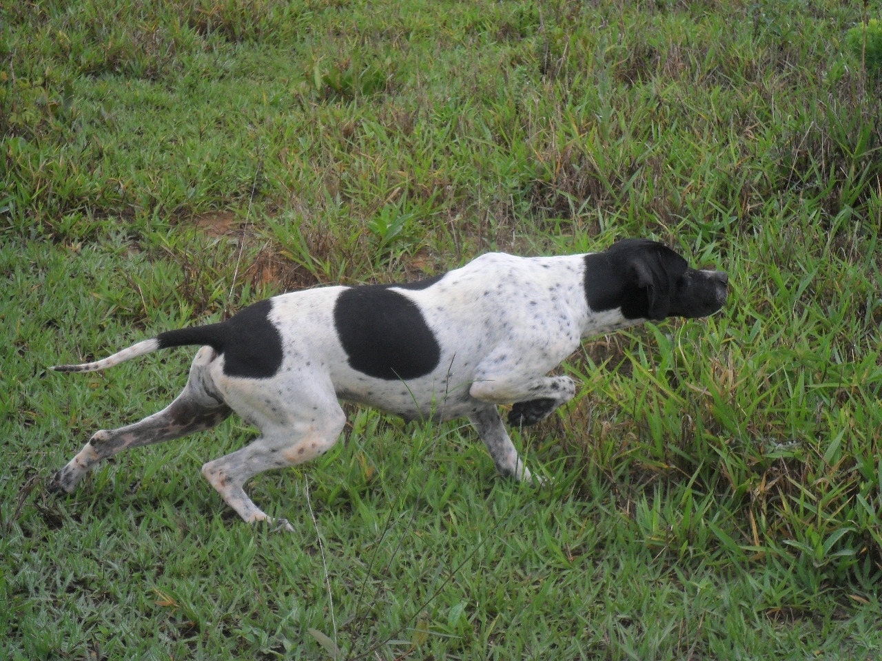 SAM_0408