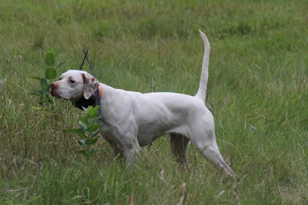 10348751_819119001464391_1445078017122813913_o