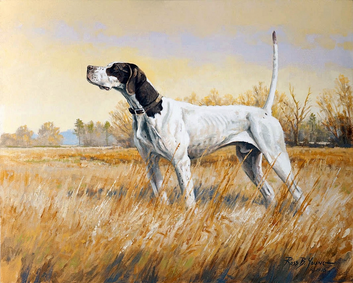 Ch. Covey Rise's Offlee Amazin