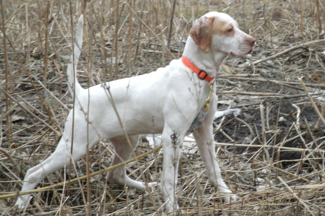 retouchedhightraining14