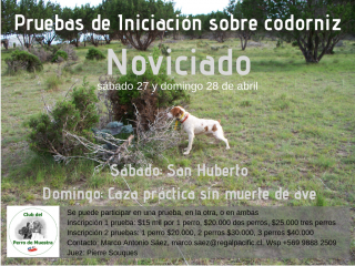 Gran-prueba-doble-de-búsqueda