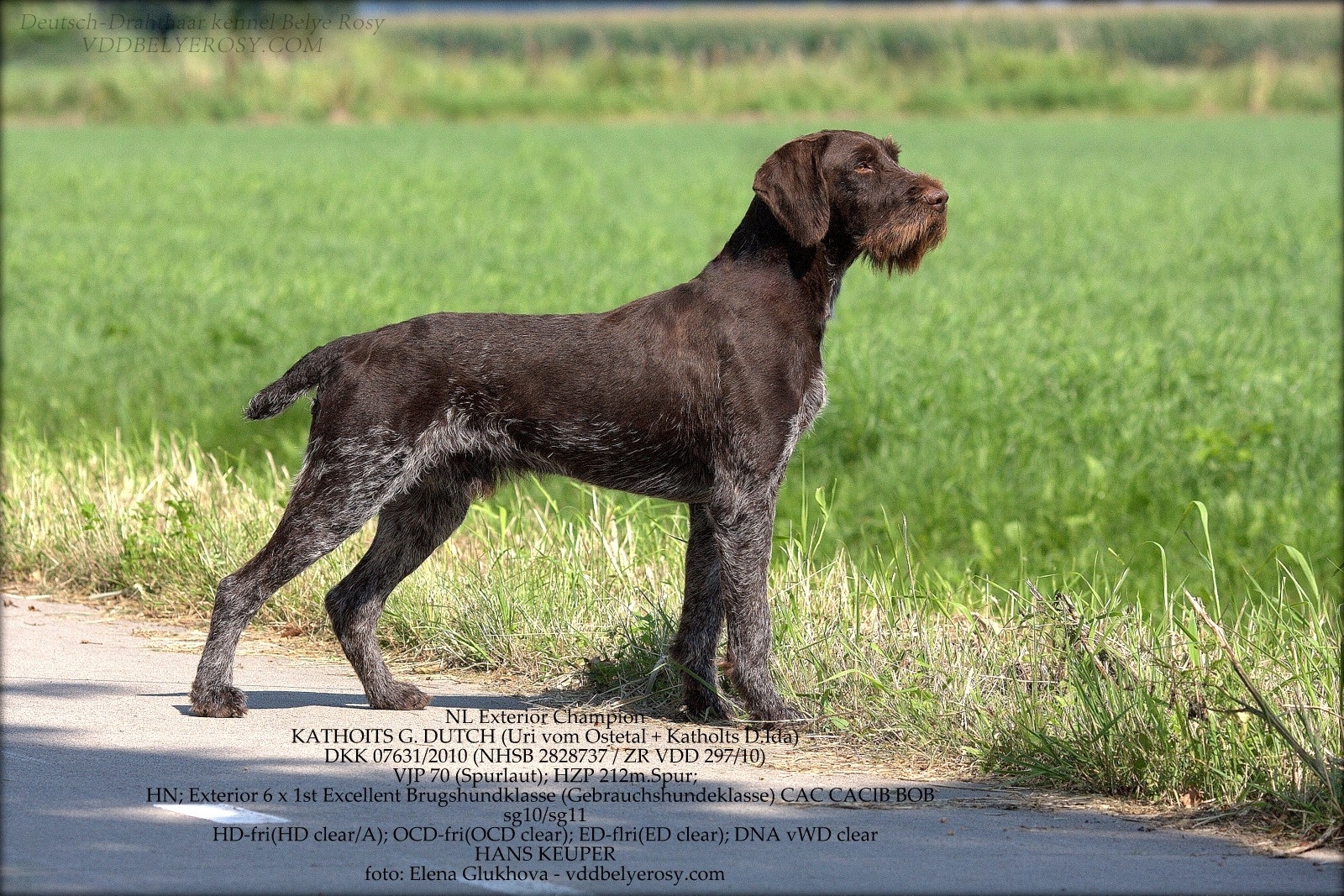 11882826_833138716801322_6750667167553365394_o1