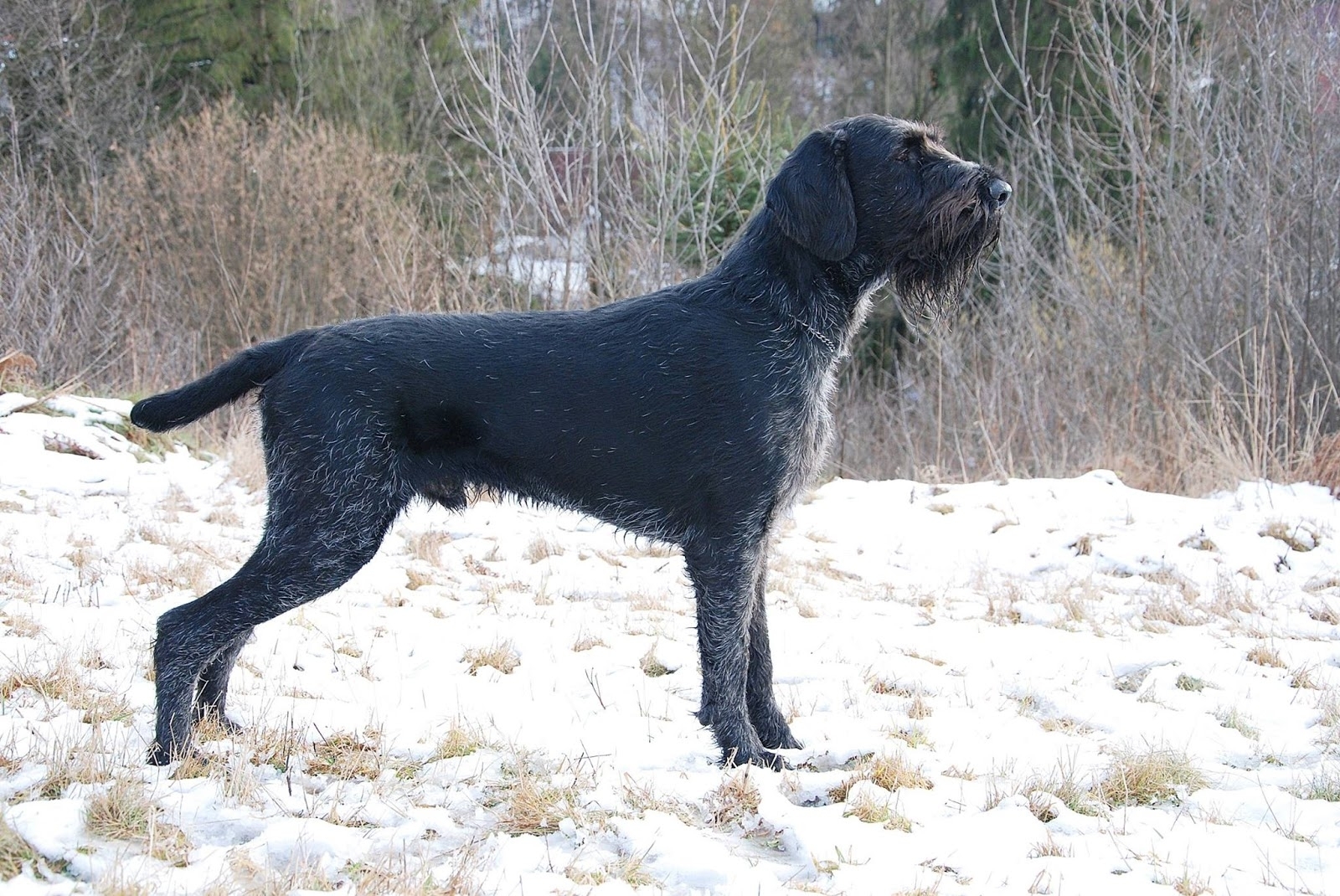 12698193_10209669906442474_3904063851606663430_o