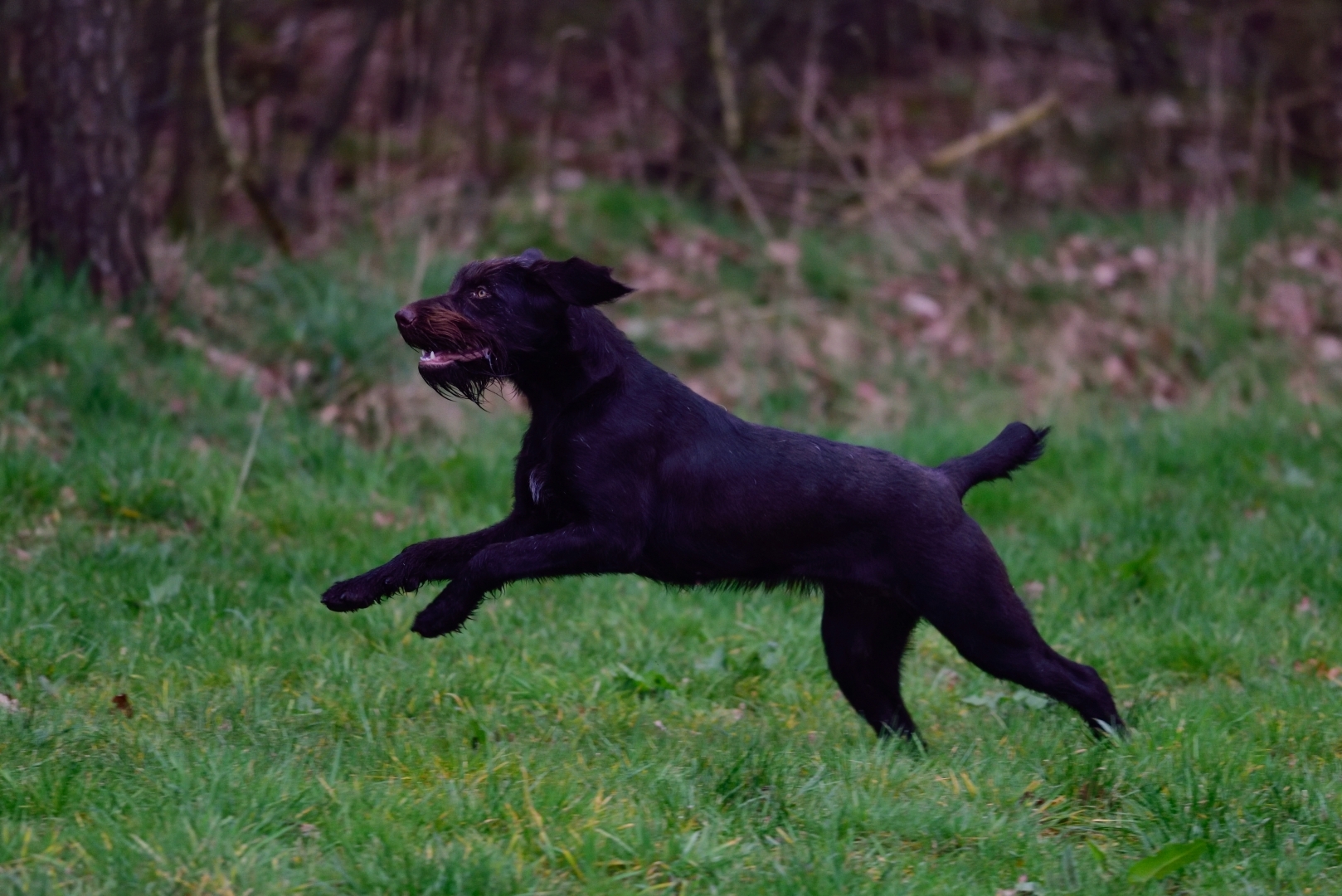 20160403-DSC_0920_20160403_4320_Migos