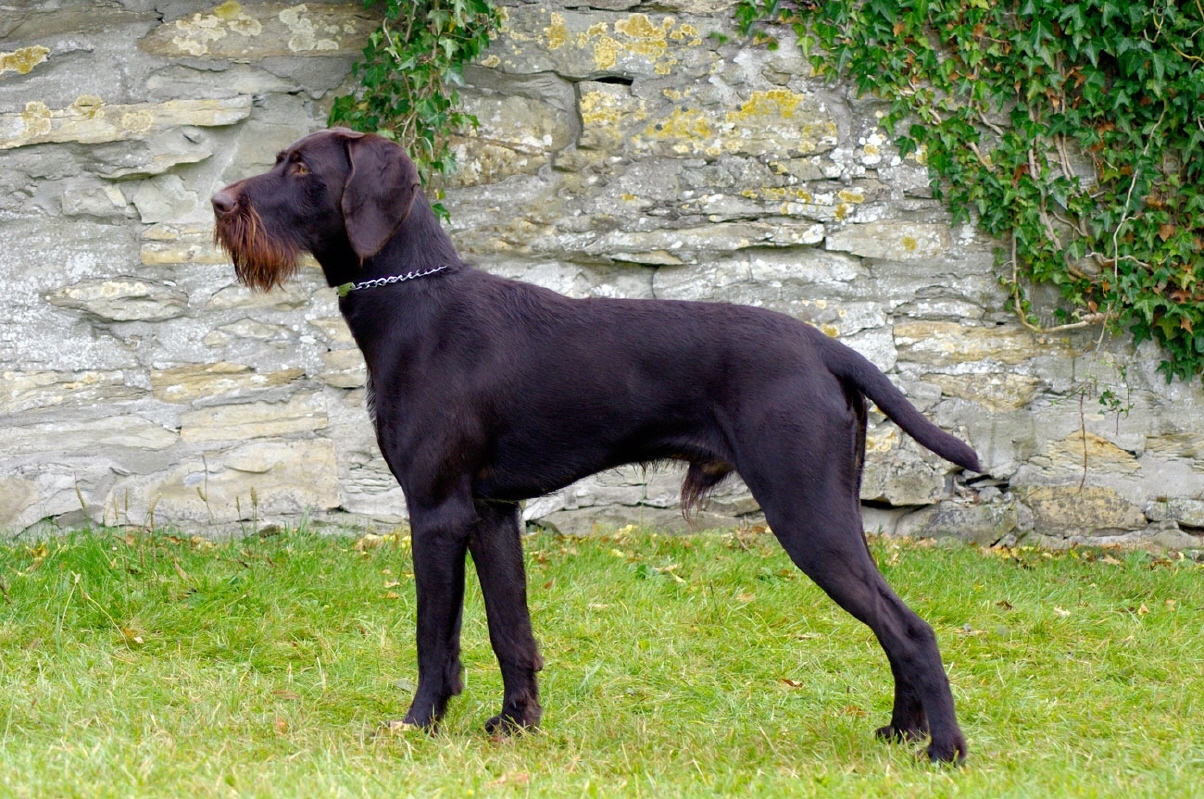 bsigp6691bartmannsauertal