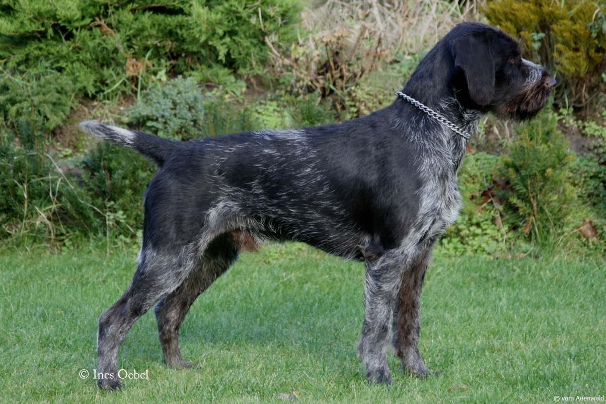 eigervonerthalzbnr.200621