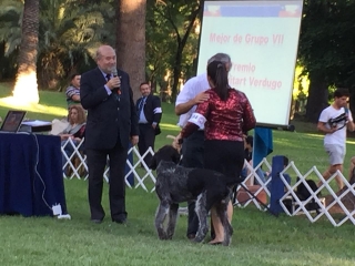 Premio Iván Guitart