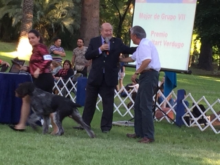 Premio Iván Guitart