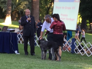 Premio Iván Guitart
