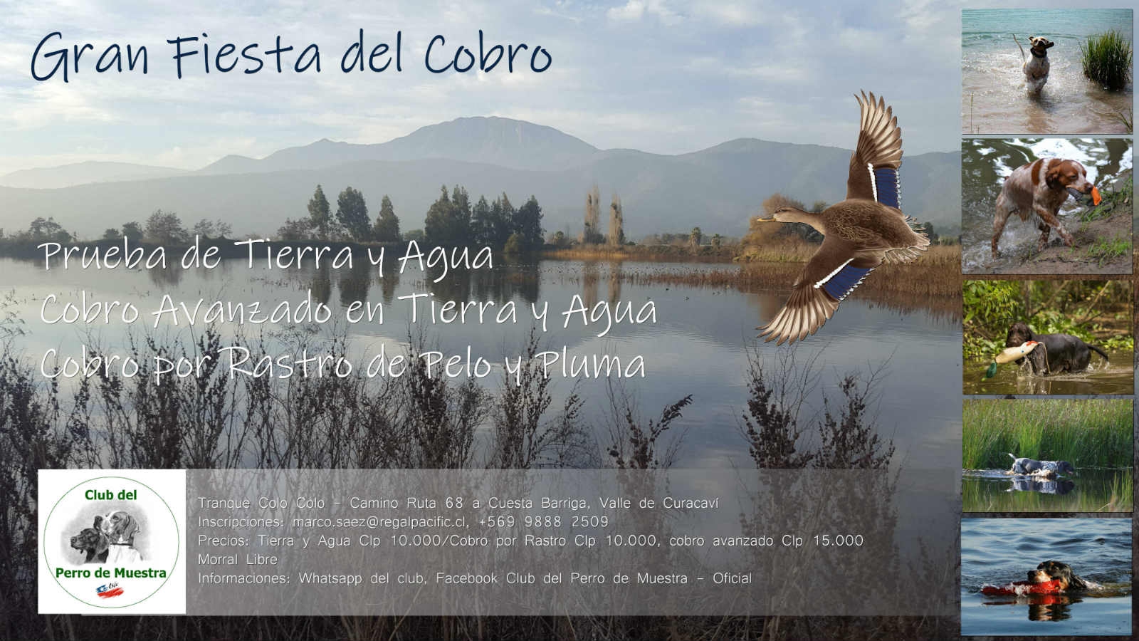 afiche_s