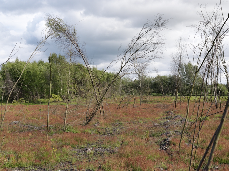 Wilkinstown_14_05_11_1885