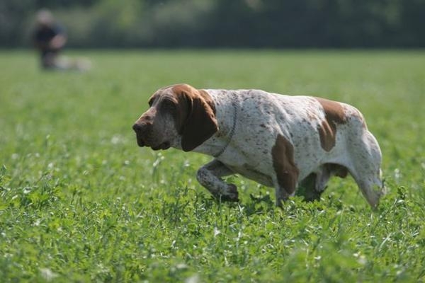 user4545_pic20944_1304980439