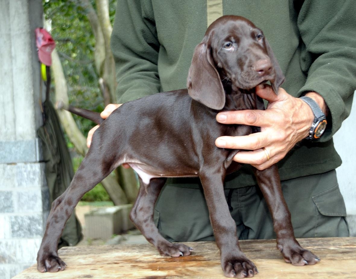 xkurzhaar-210304.pagespeed.ic.MMCEbXHwkN