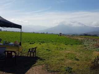 WhatsApp-Image-2021-08-22-at-13.31.01