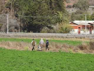 WhatsApp-Image-2021-08-22-at-15.43.36