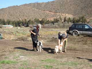 WhatsApp-Image-2021-08-22-at-15.43.44-1