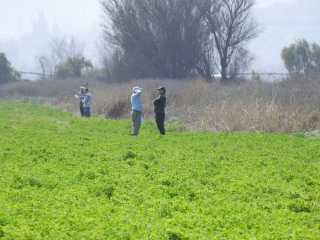 WhatsApp-Image-2021-08-22-at-15.46.02