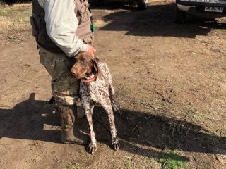 WhatsApp-Image-2021-08-22-at-19.44.33