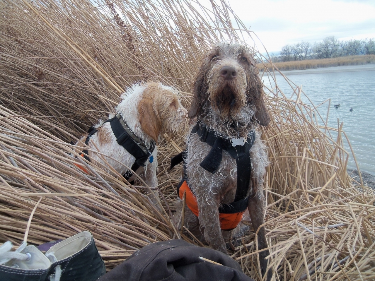 doc-and-mia-at-minidoka-11