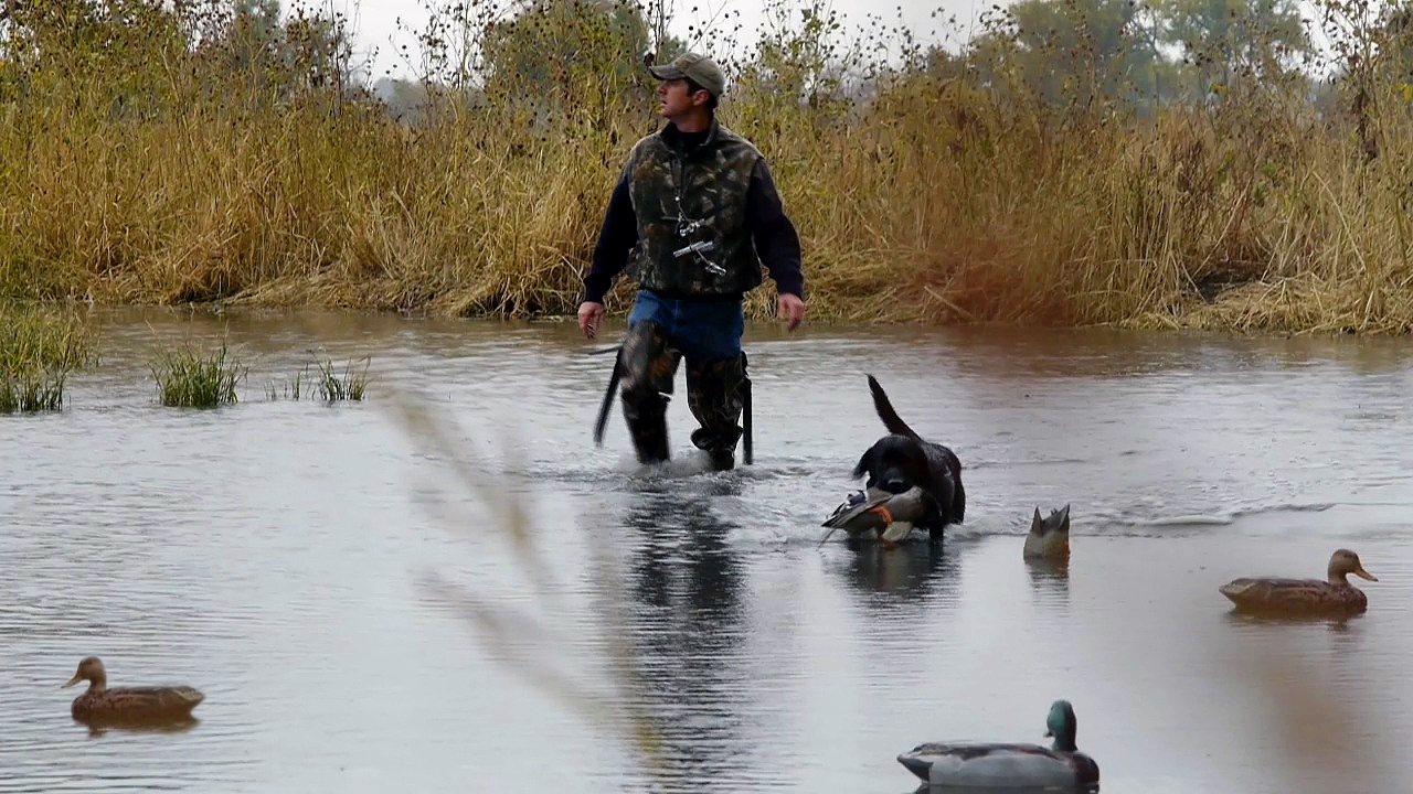duck-hunter-for-blog