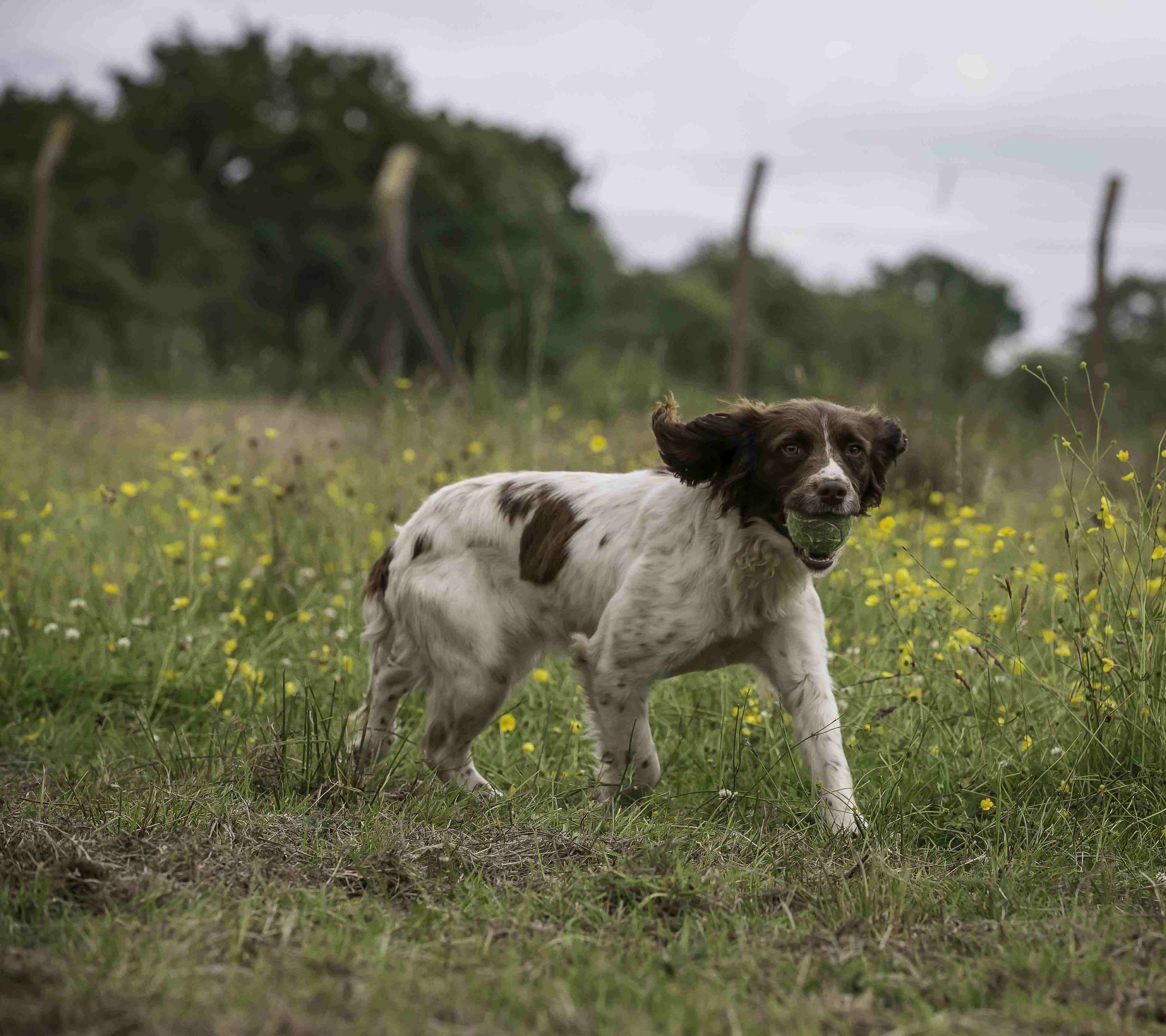 Andy-Biggar-Photography-279-of-316