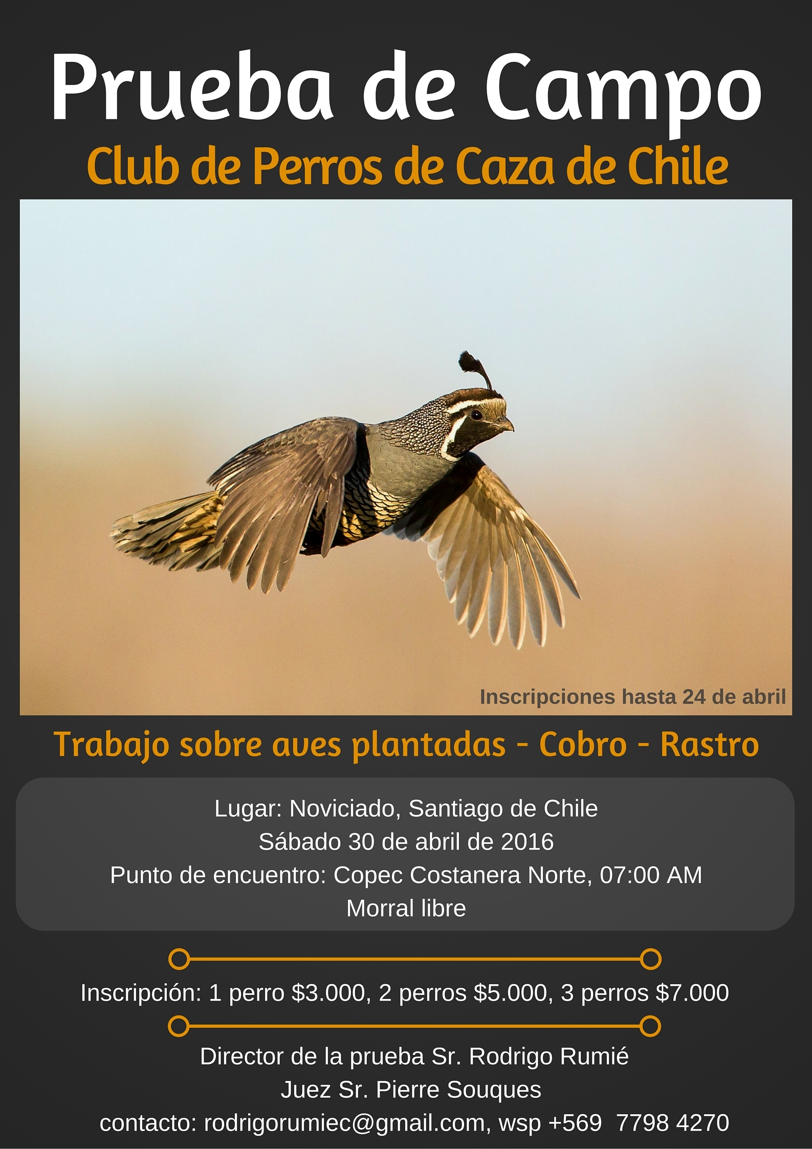 Afiche Prueba de Campo Noviciado Abril 2016