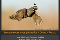 Afiche Prueba de Campo Noviciado Abril 2016