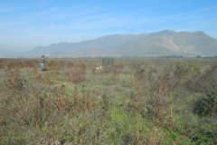 DSCN3436