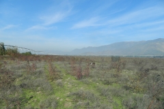 DSCN3512