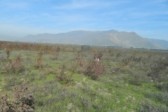 DSCN3537