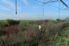 DSCN3541