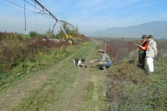 DSCN3565