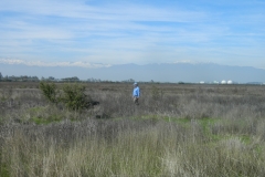 DSCN3601