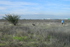 DSCN3610