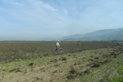 DSCN3618