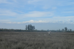 DSCN3636