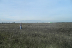 DSCN3642