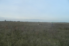 DSCN3649