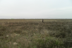 DSCN3654