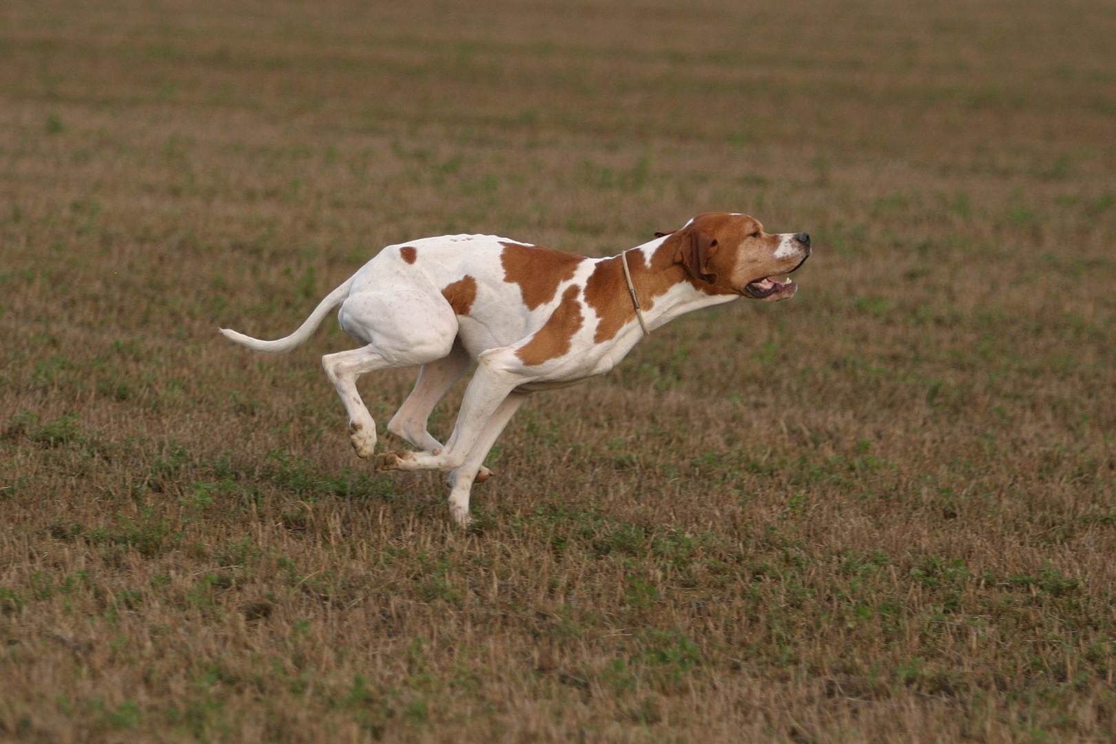 pointer-00-min