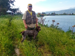 aa