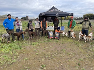 Perros de la prueba y sus conductores