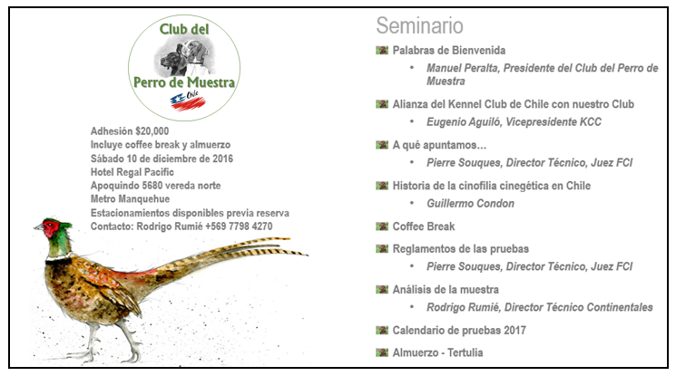 brochure fb